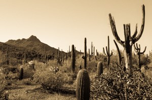 Mission San Luis Rey Photos